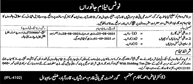 Catle Department Sahiwal Tender Notice